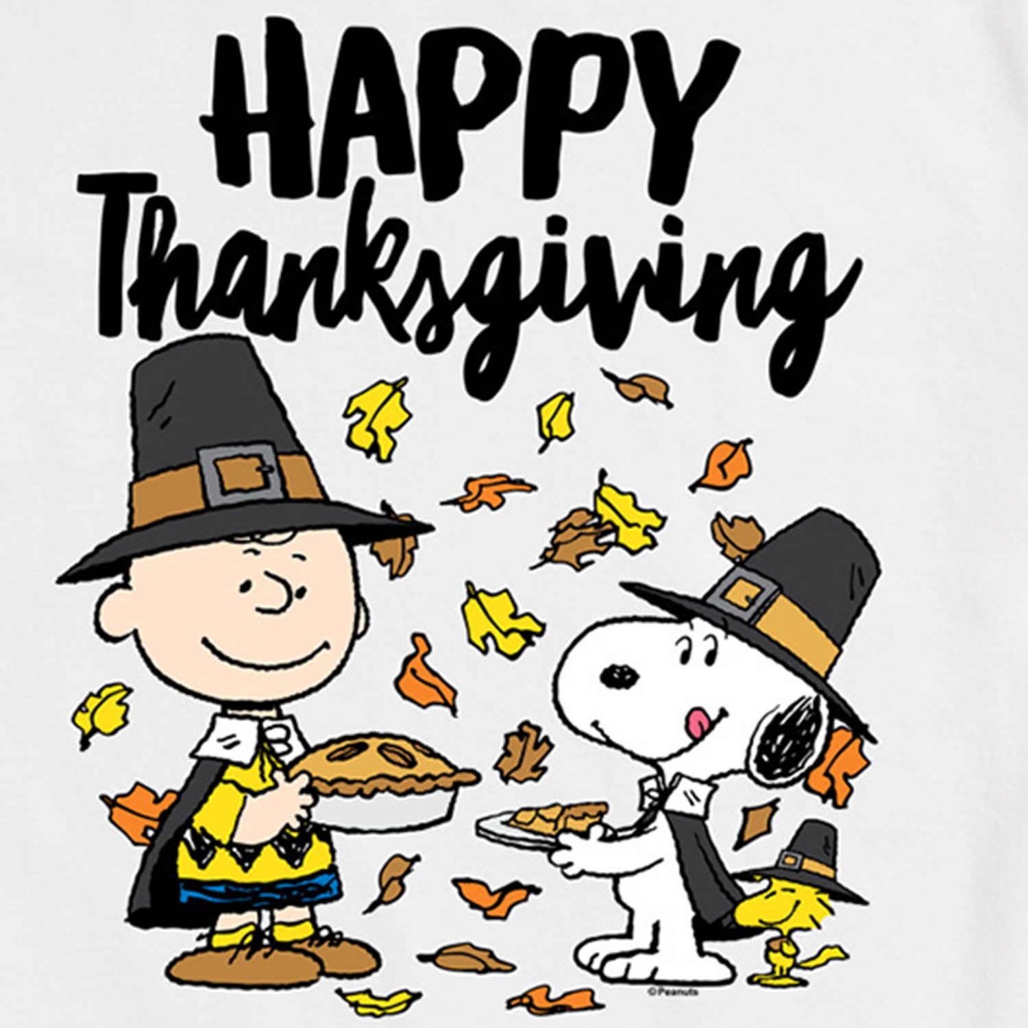Happy Thanksgiving Mens Crew Neck Short Sleeve Regular Fit Peanuts Snoopy Graphic T-Shirt
