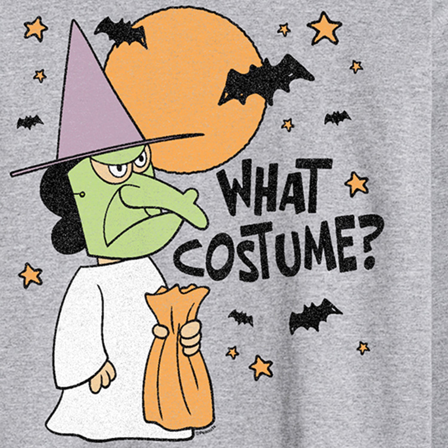 What Costume Witch Halloween Mens Crew Neck Long Sleeve Regular Fit Peanuts Graphic T-Shirt