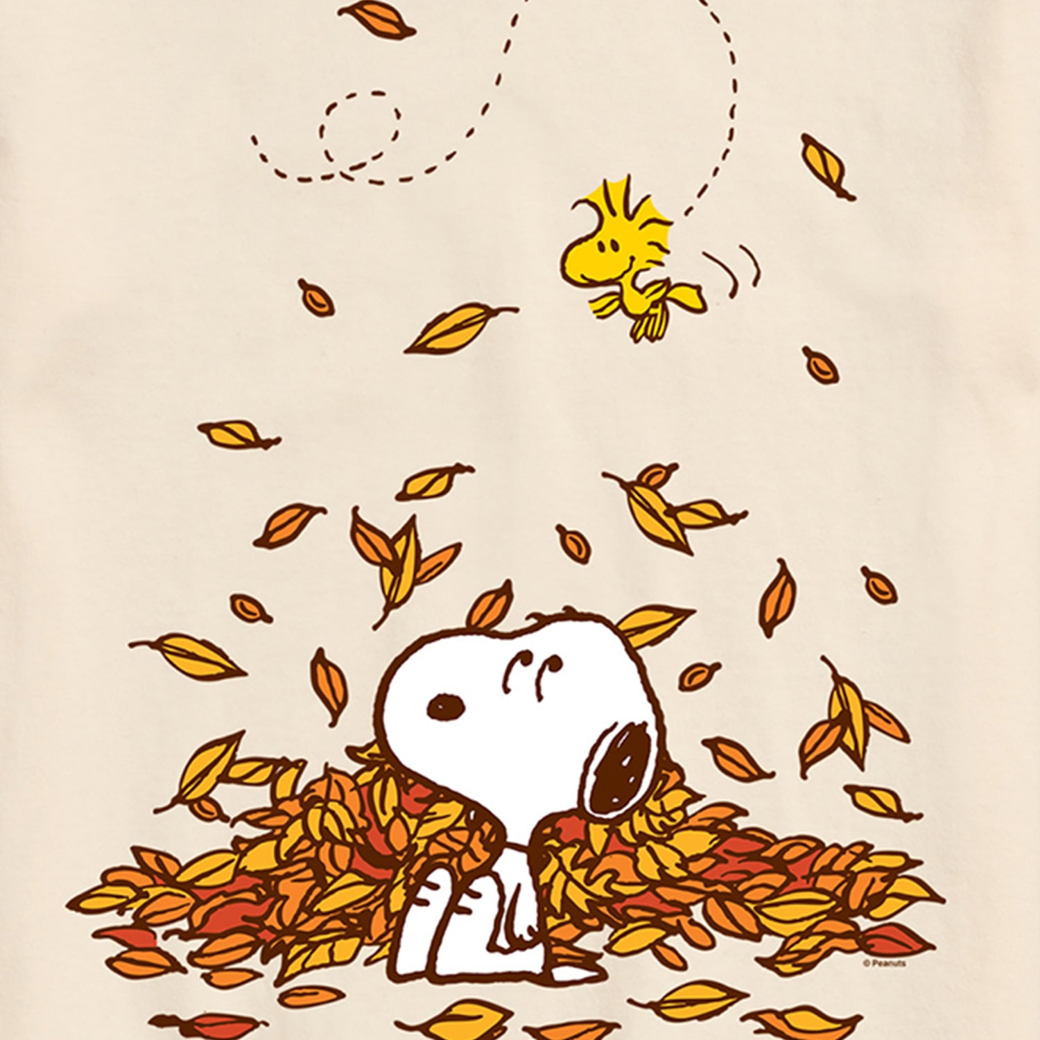 Woodstock Fall Leaves Mens Crew Neck Short Sleeve Regular Fit Peanuts Graphic T-Shirt
