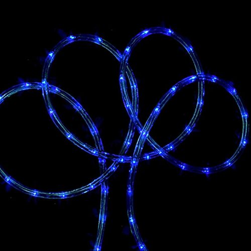 Northlight 100ft Flexible Incandescent Outdoor Wire Strip Light, One Size, Blue