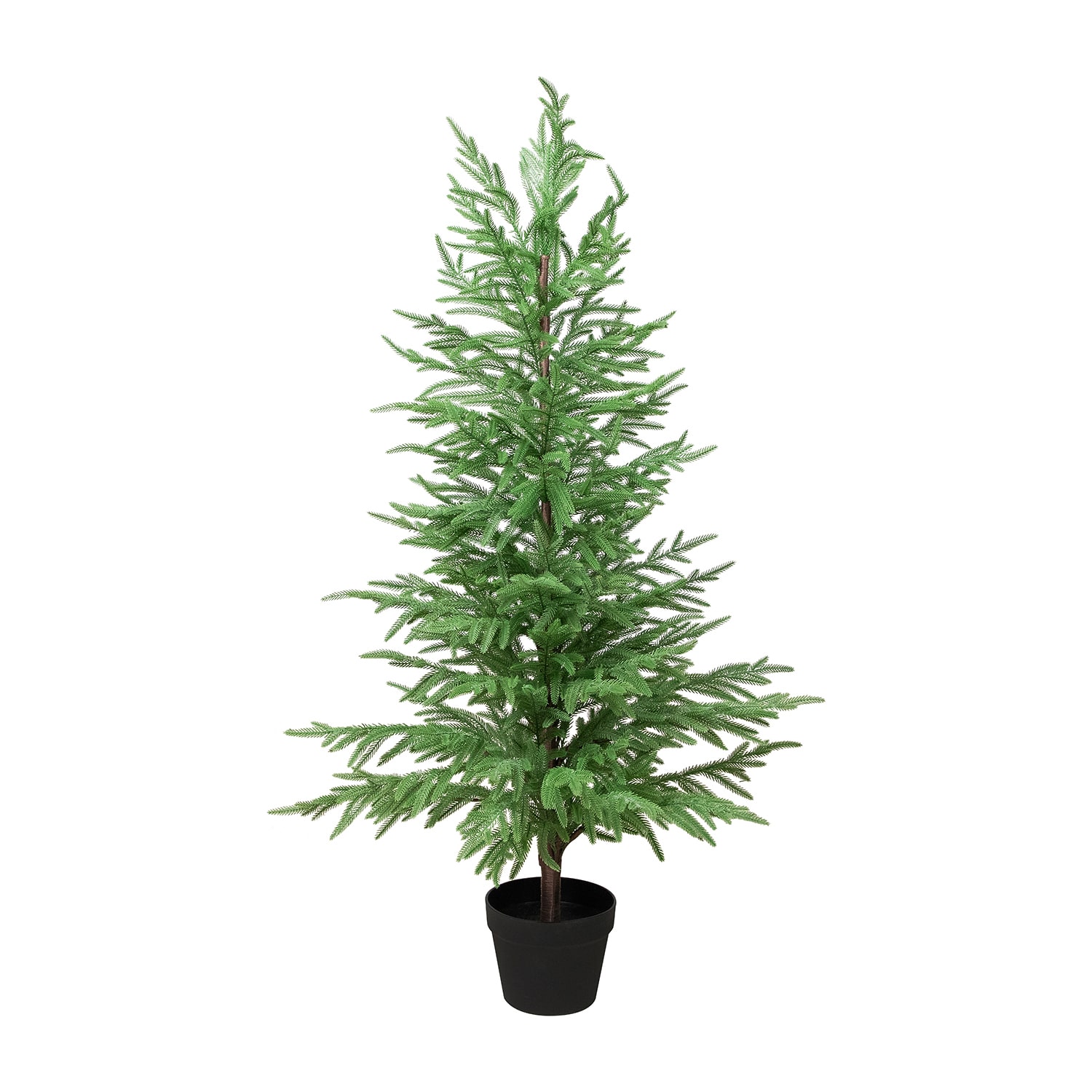 Northlight Medium Norfolk Artificial 4 Foot Potted Pine Christmas Tree