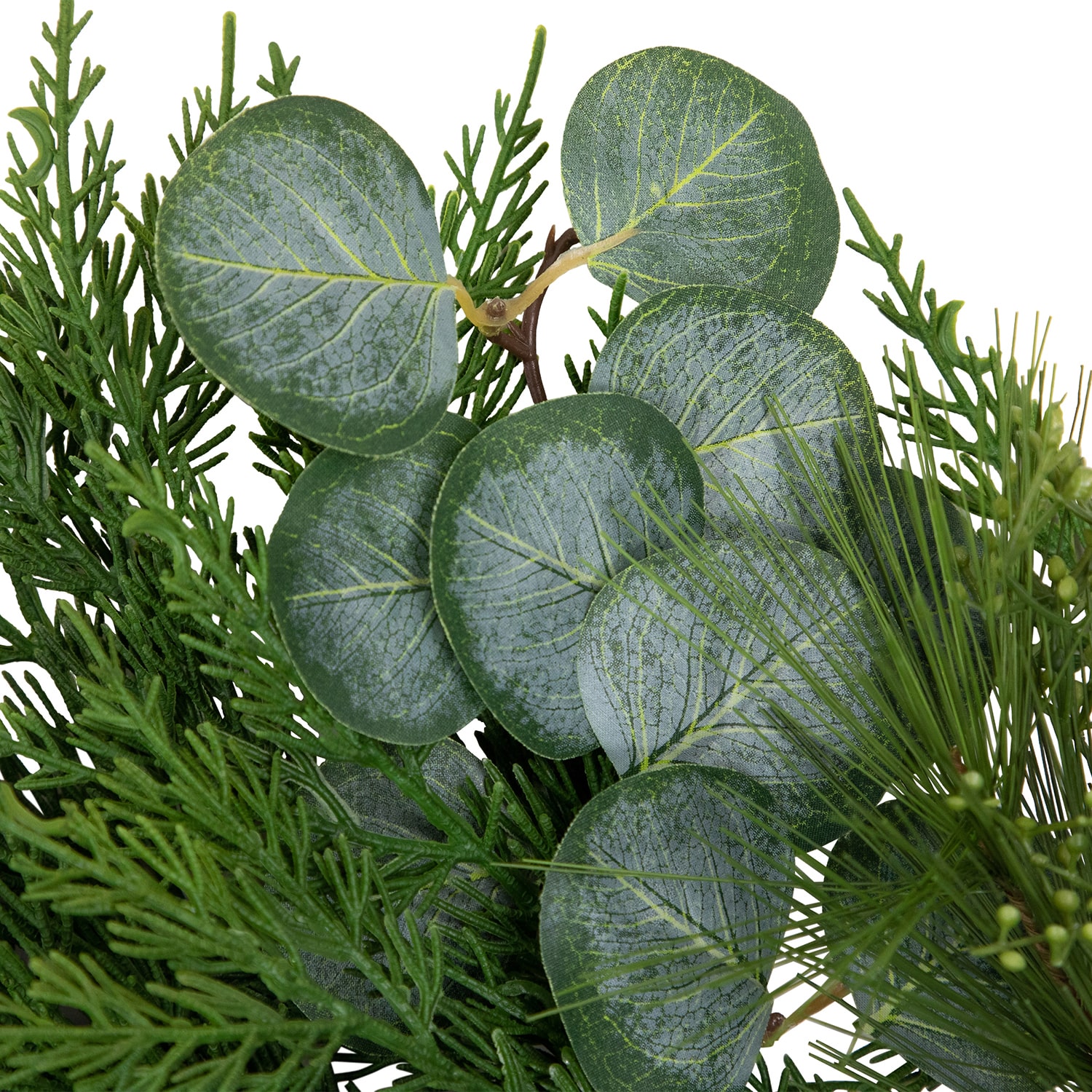 Northlight 6ft Real Touch Eucalyptus And Mixed Pine Artificial Christmas Outdoor Garland