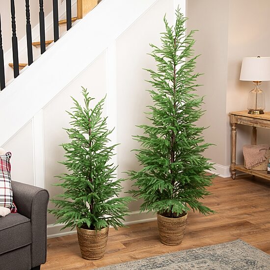 Northlight Medium Norfolk Pine Artificial Potted 6 Foot Potted Pine Christmas Tree