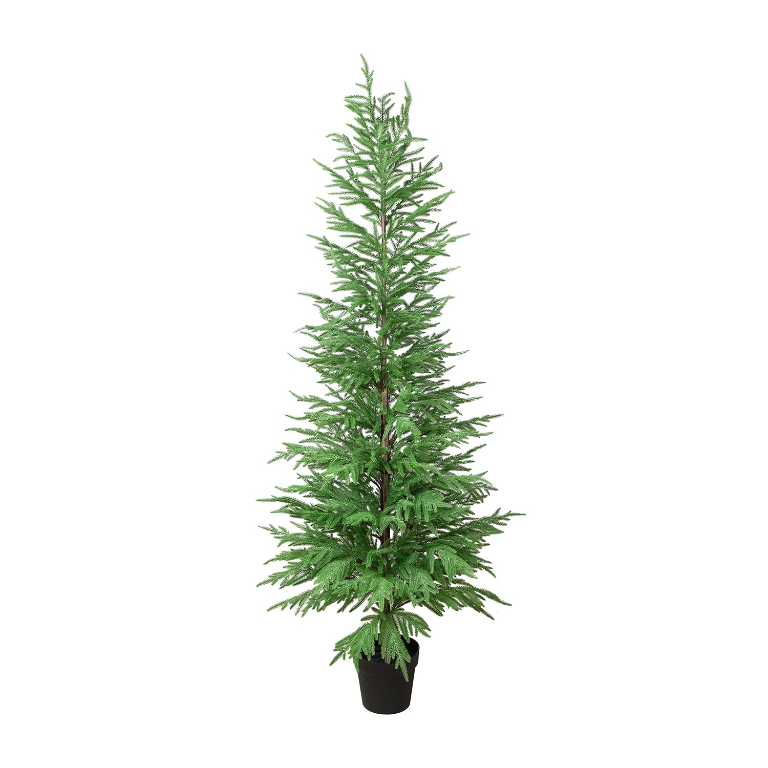 Northlight Medium Norfolk Pine Artificial Potted 6 Foot Potted Pine Christmas Tree