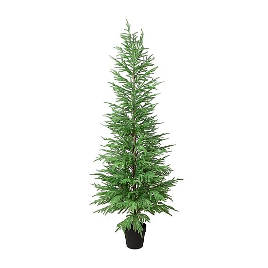 Northlight Medium Norfolk Pine Artificial Potted 6 Foot Potted Pine Christmas Tree