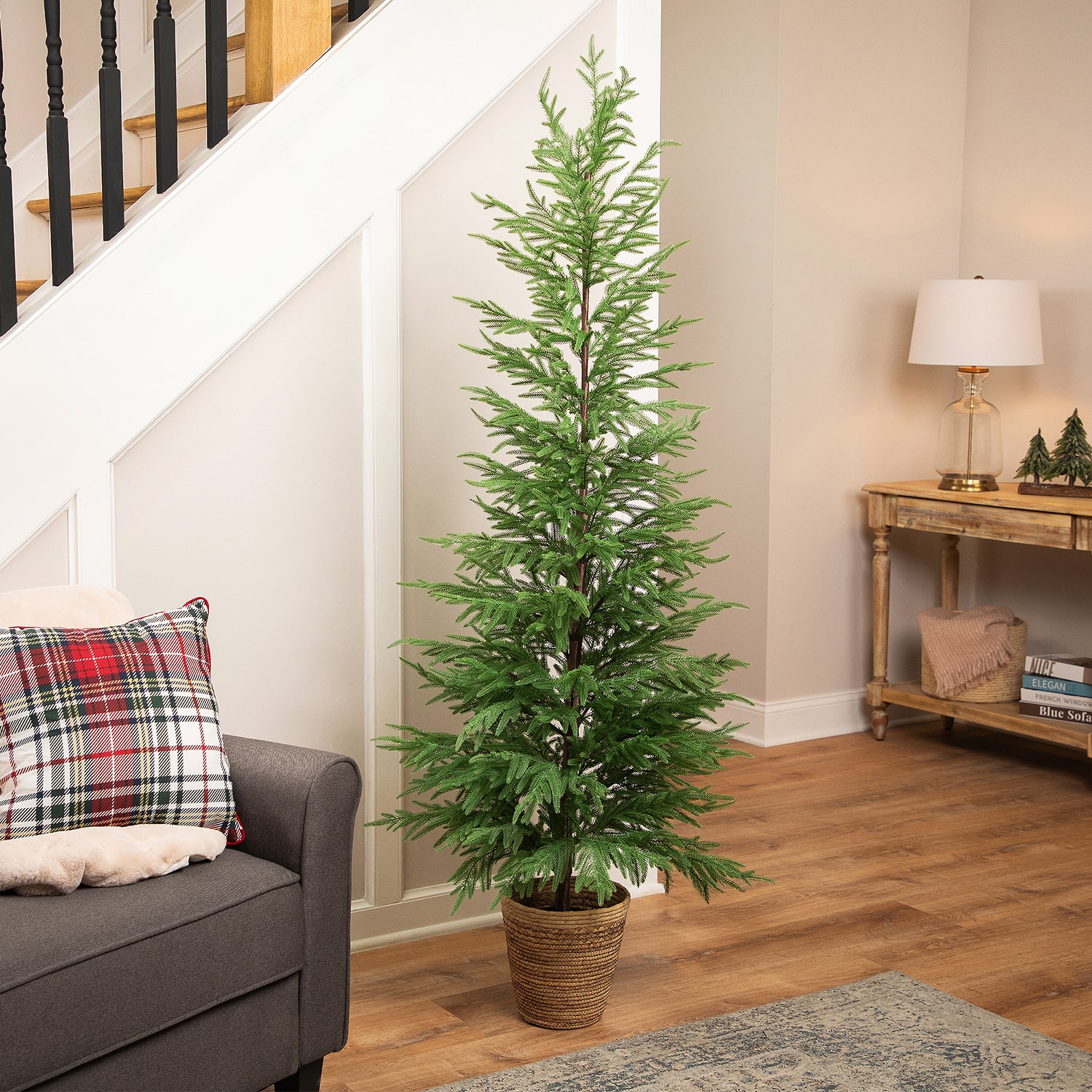Northlight Medium Norfolk Pine Artificial Potted 6 Foot Potted Pine Christmas Tree