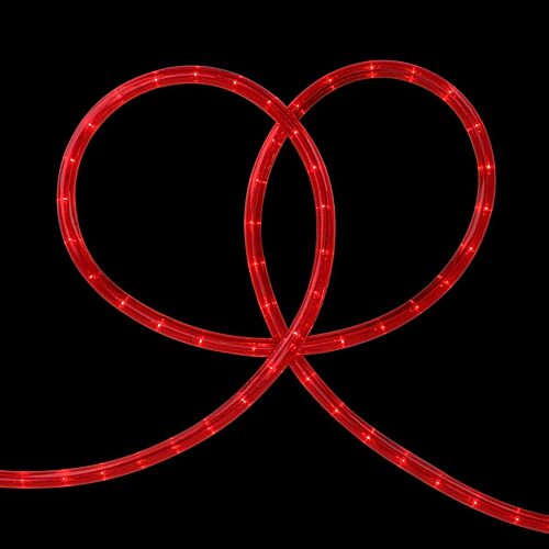 Northlight 100ft Flexible Incandescent Outdoor Wire Strip Light, One Size, Red