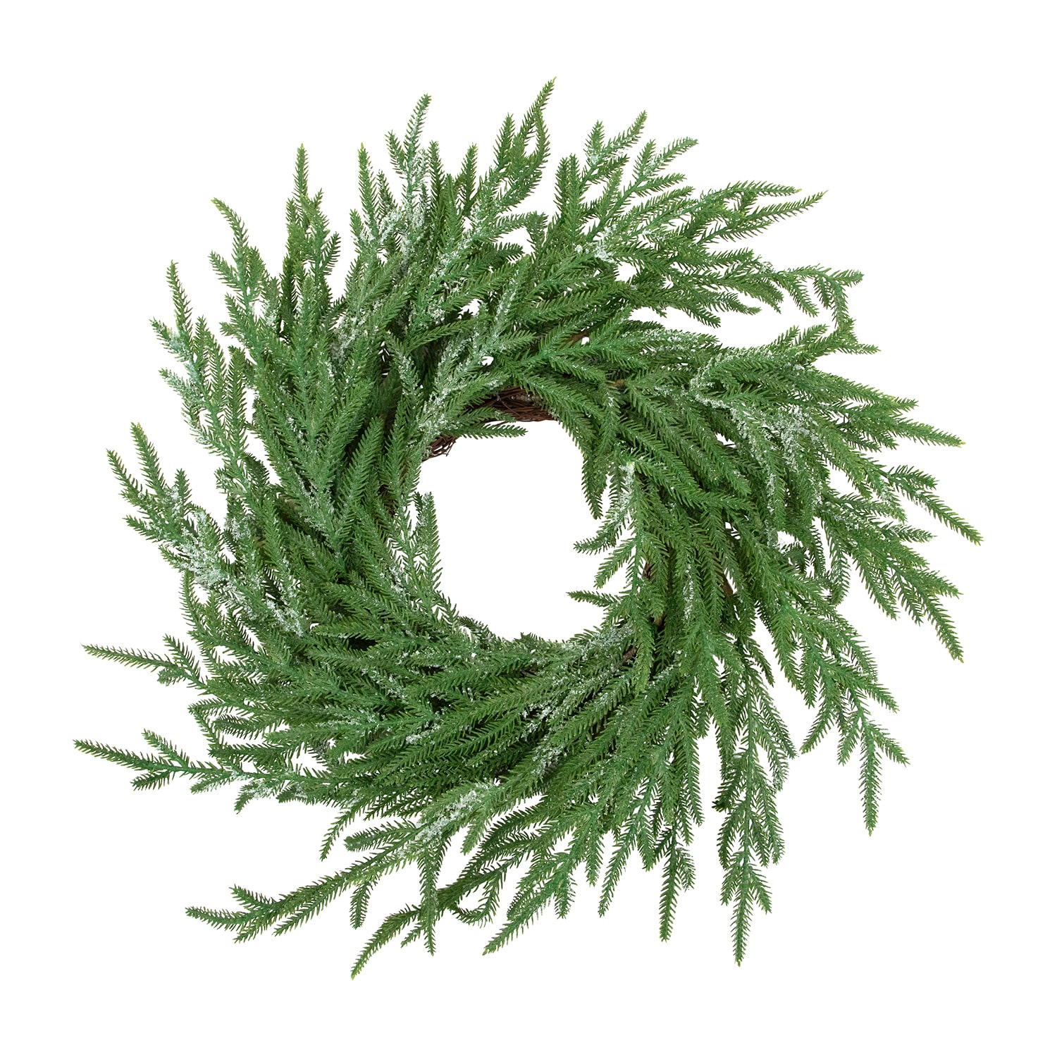 Northlight 20" Frosted Norfolk Pine Artificial Wreath