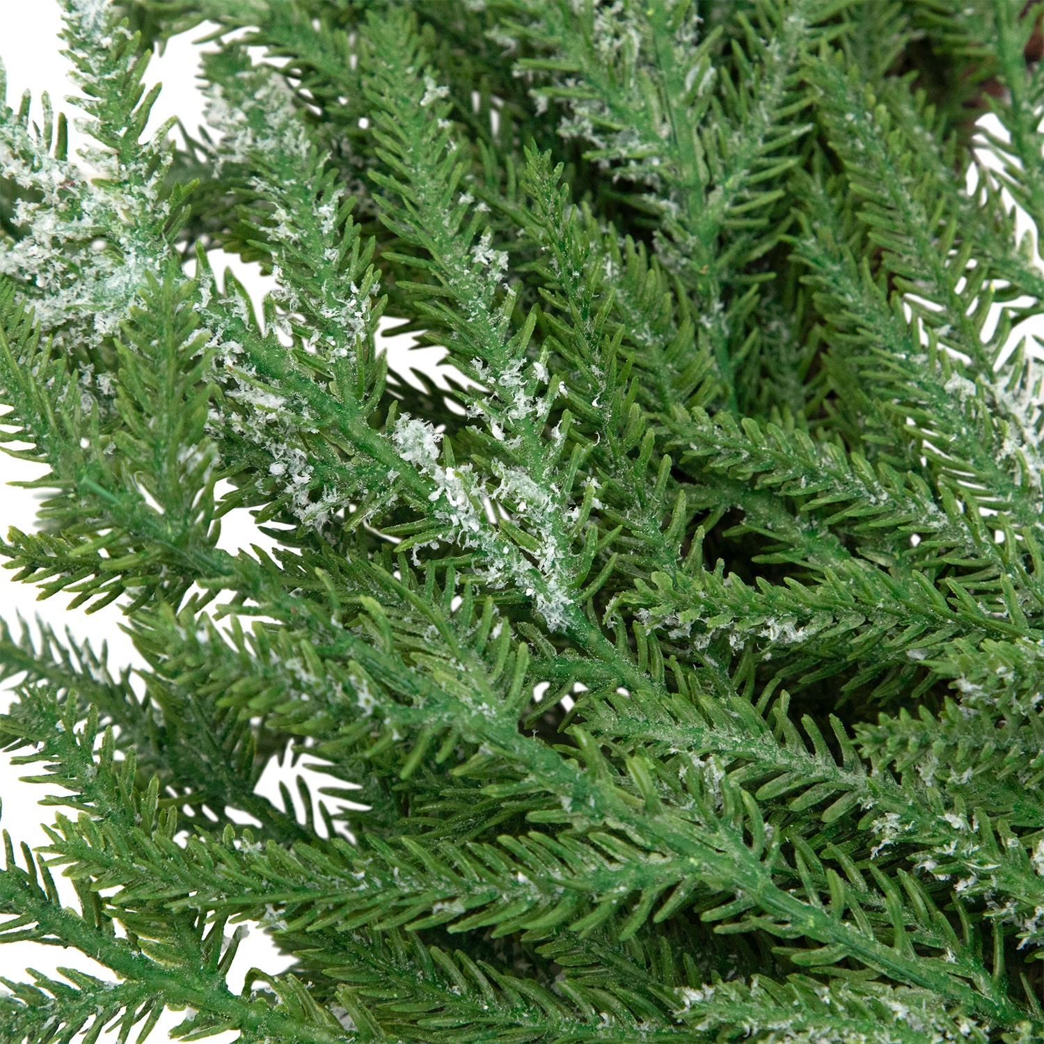 Northlight 20" Frosted Norfolk Pine Artificial Wreath