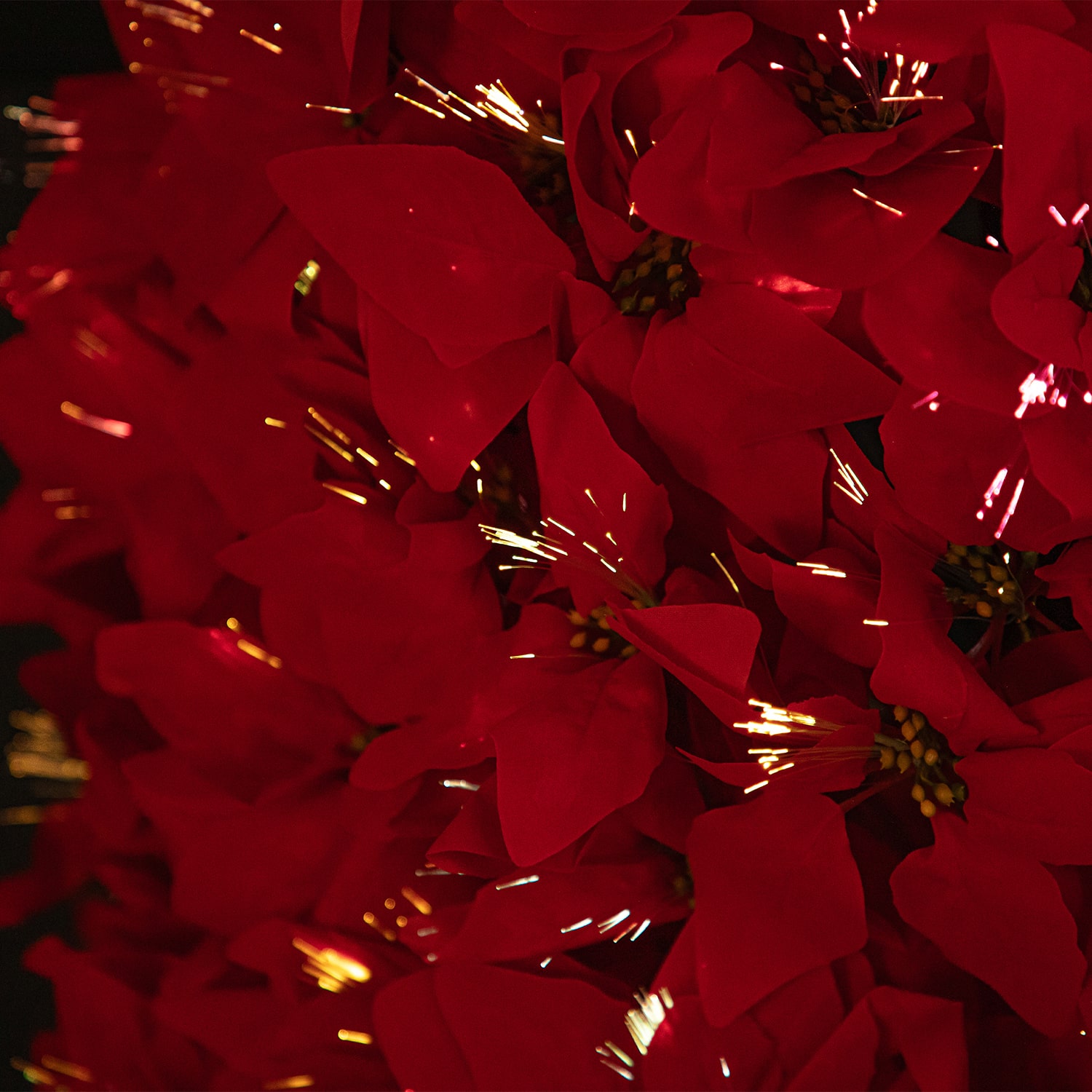 Northlight Fiber Optic Poinsettia 6 Foot Pre-Lit Christmas Tree