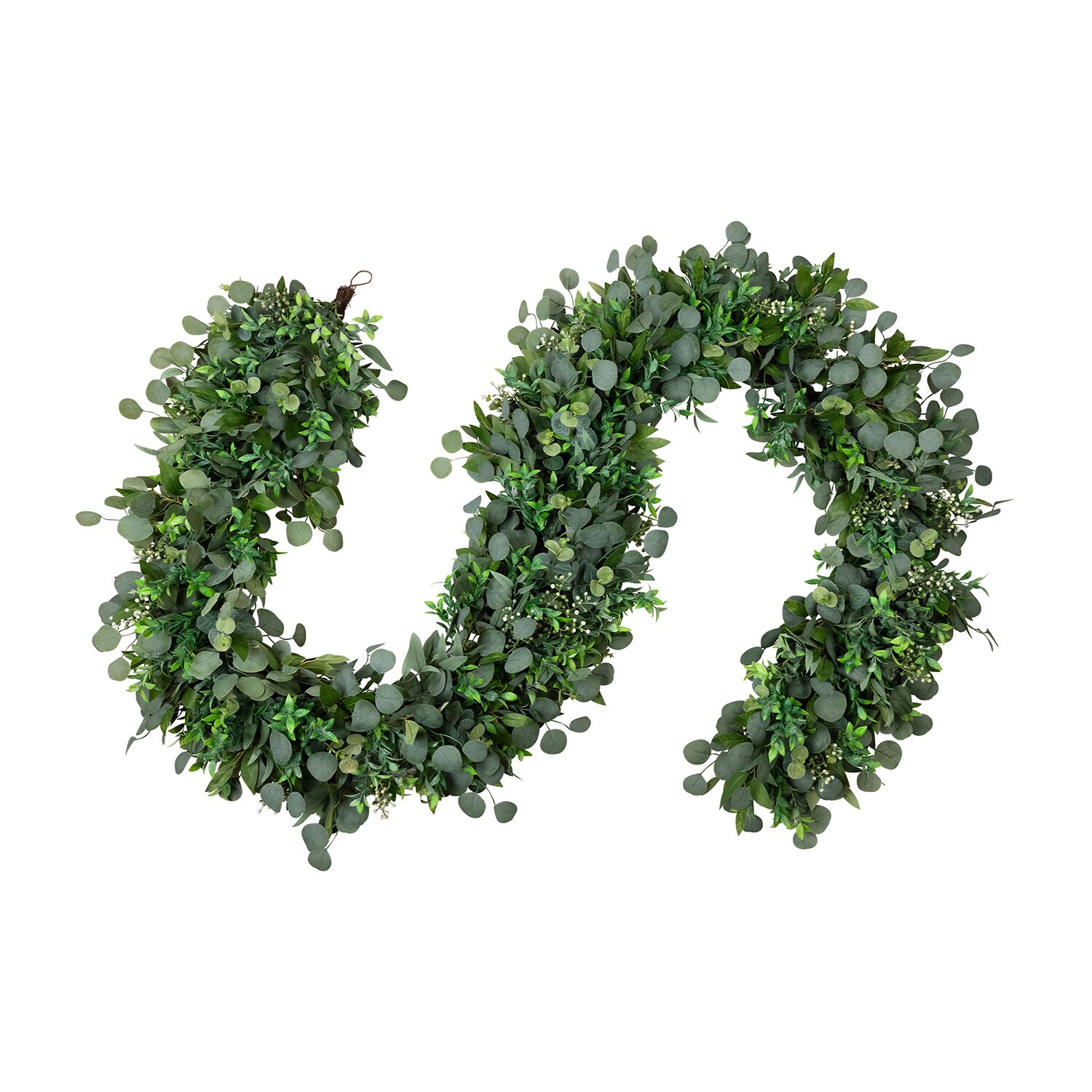 Northlight 10ft Silver Dollar And Seeded Eucalyptus Artificial Christmas Outdoor Garland