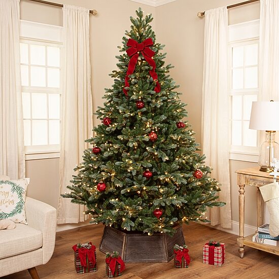 Northlight Real Touch Pre Lit Full Spruce Artificial 7 Foot Pre-Lit Spruce Christmas Tree