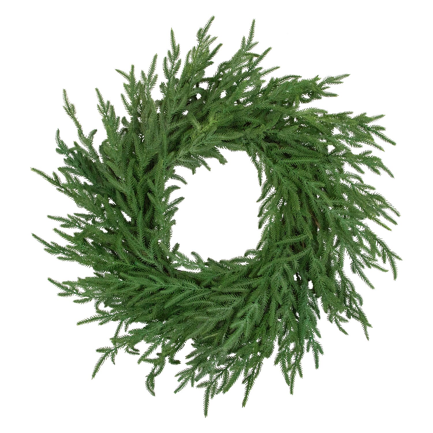 Northlight 26" Norfolk Pine Artificial Wreath