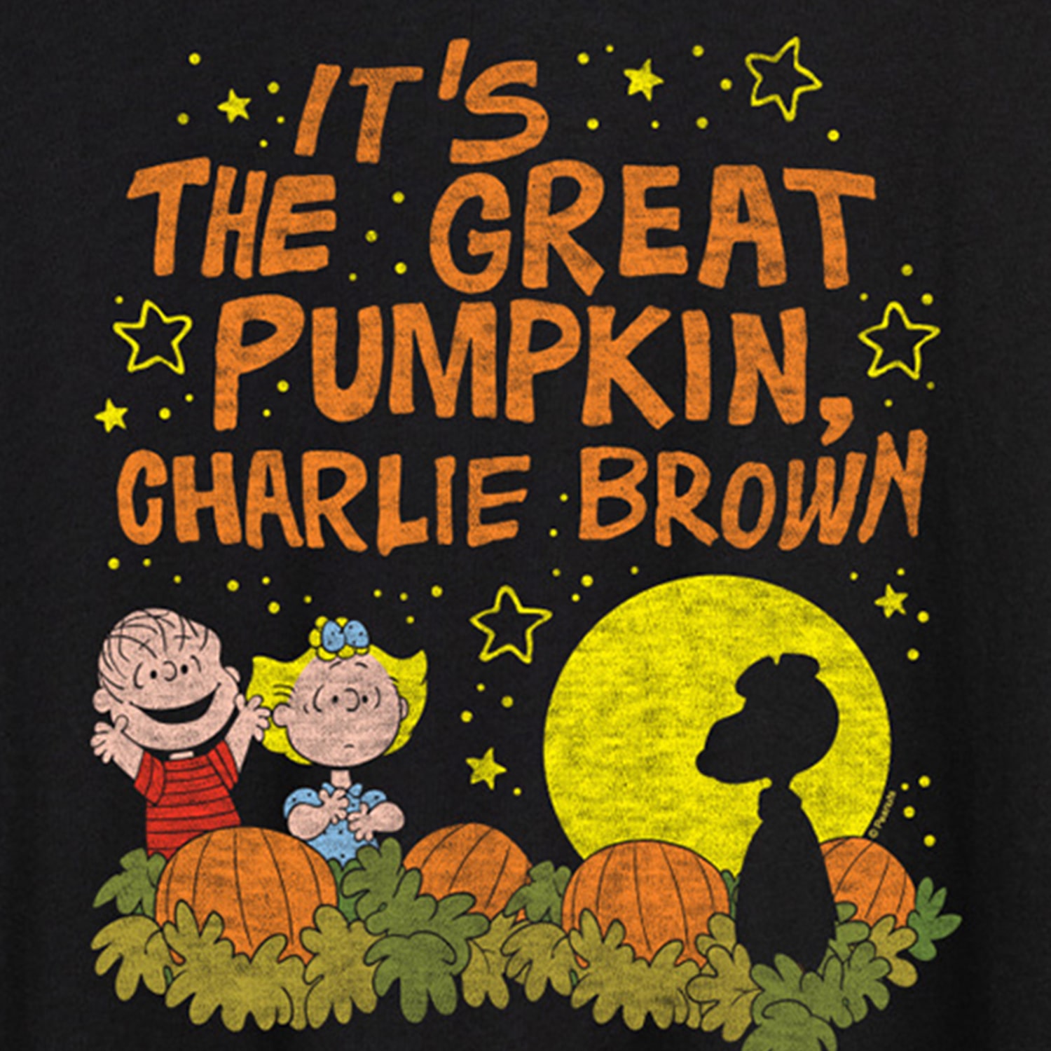 Its The Great Pumpkin Charlie Brown Womens Crew Neck Short Sleeve Oversized Graphic T-Shirt