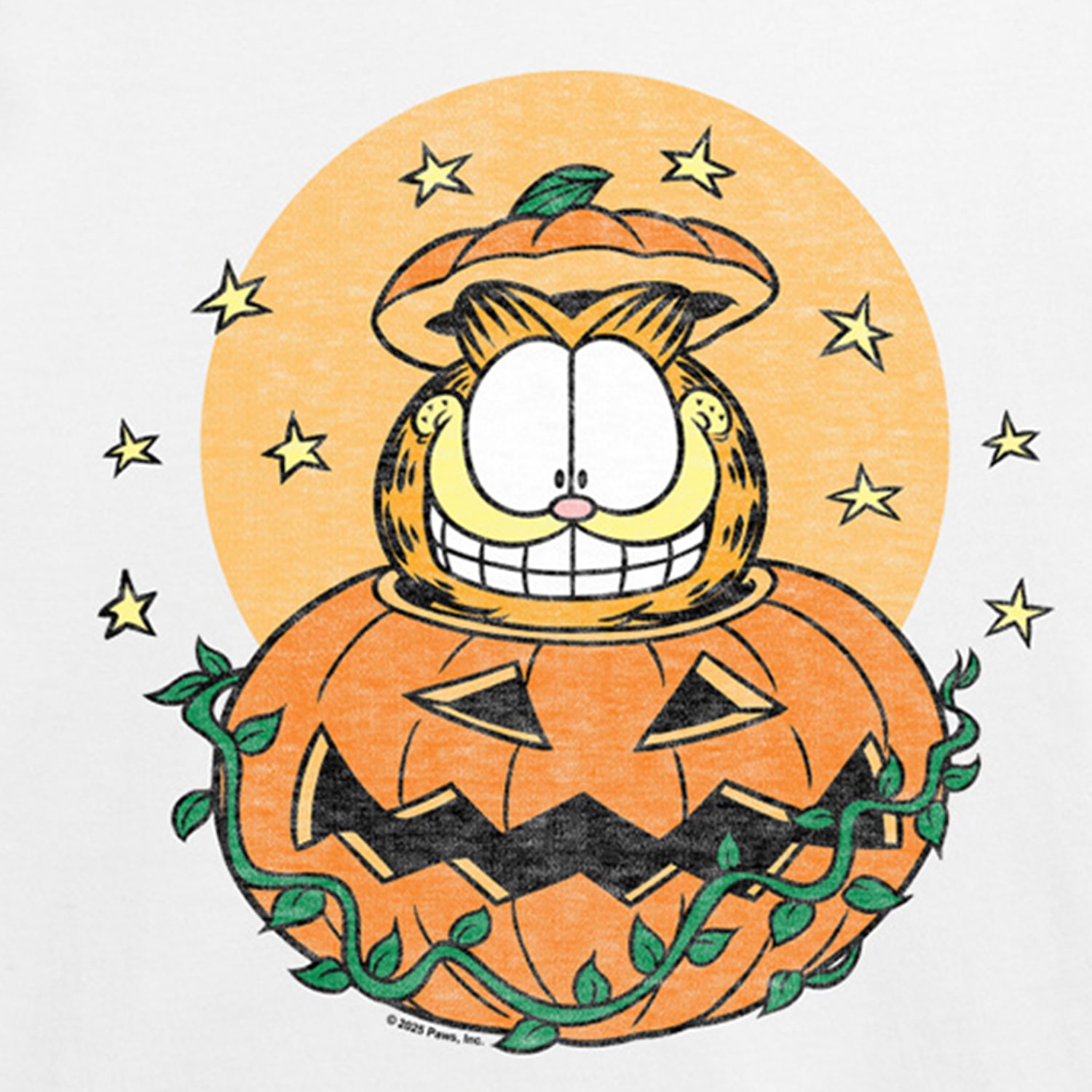 Jackolantern Womens Crew Neck Short Sleeve Regular Fit Graphic T-Shirt
