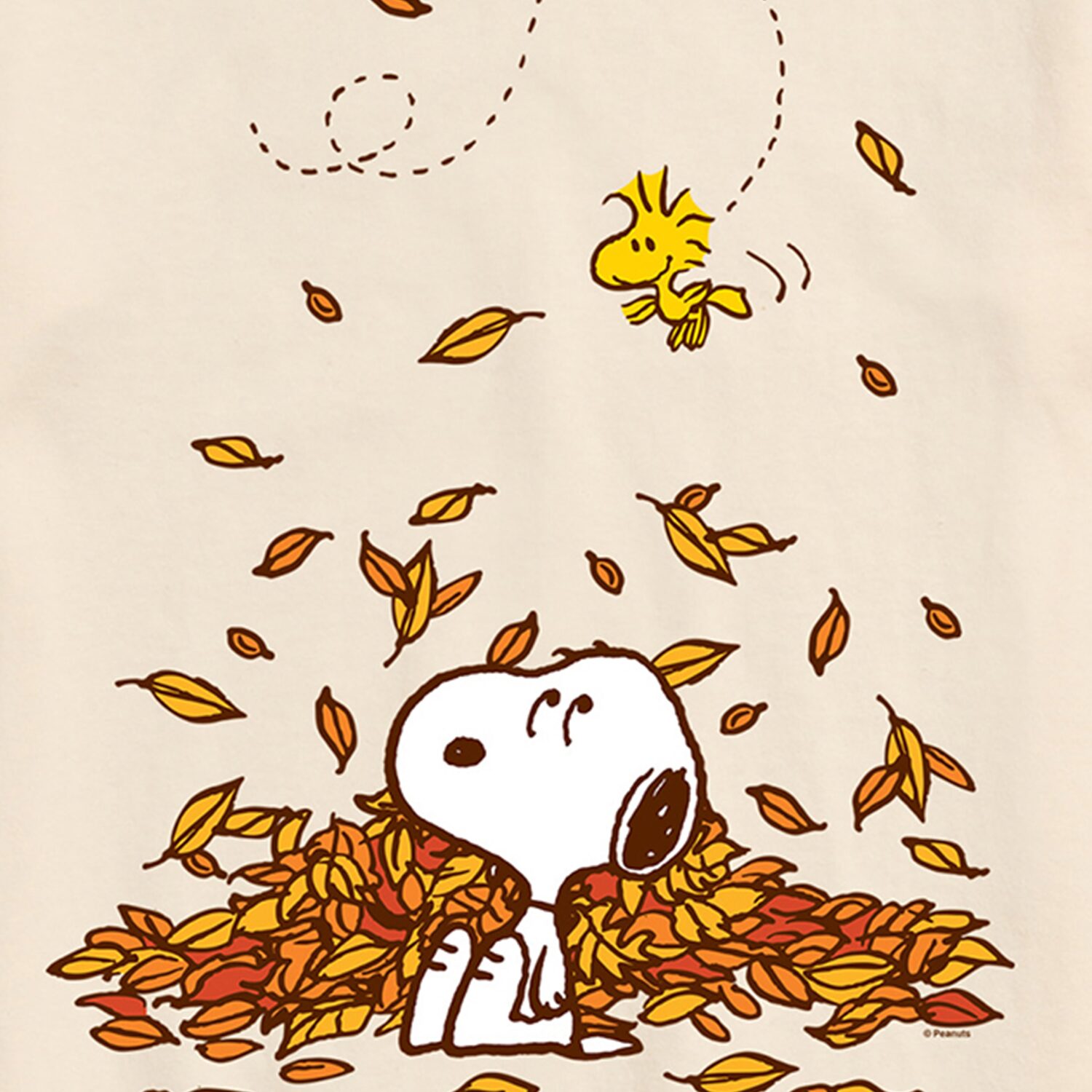 Woodstock Fall Leaves Mens Crew Neck Short Sleeve Regular Fit Peanuts Snoopy Big and Tall Graphic T-Shirt