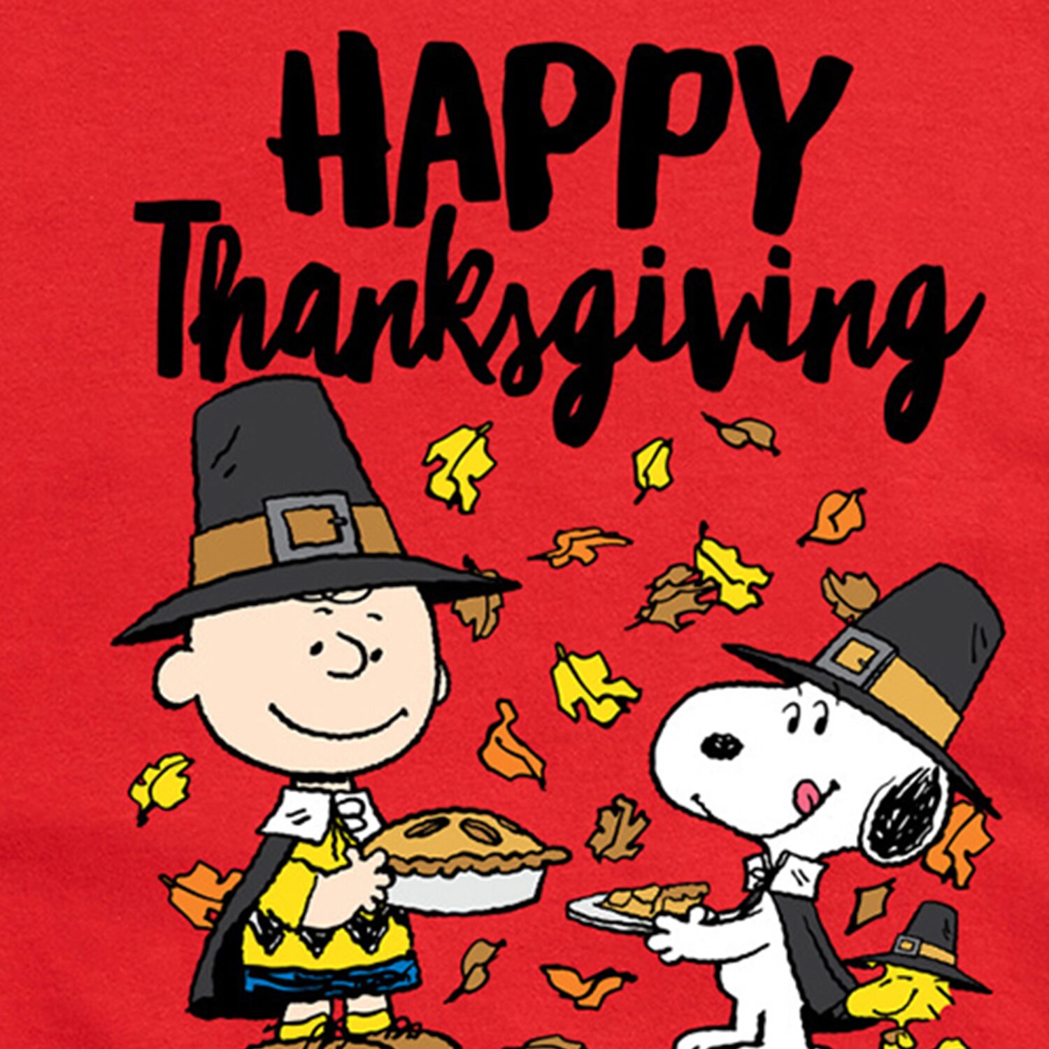 Happy Thanksgiving Pie Mens Crew Neck Short Sleeve Regular Fit Peanuts Snoopy Big and Tall Graphic T-Shirt
