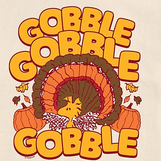 Gobble Woodstock Mens Crew Neck Short Sleeve Regular Fit Peanuts Big and Tall Graphic T-Shirt