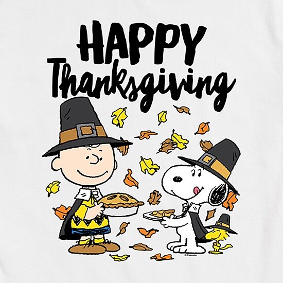 Happy Thanksgiving Pie Mens Crew Neck Short Sleeve Regular Fit Peanuts Snoopy Big and Tall Graphic T-Shirt