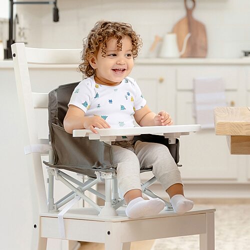 Regalo 3 Point Harness Booster Seat, One Size, Gray