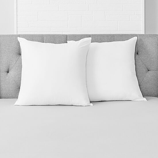 Allerease Solid Euro Pillow Insert 2-Pack