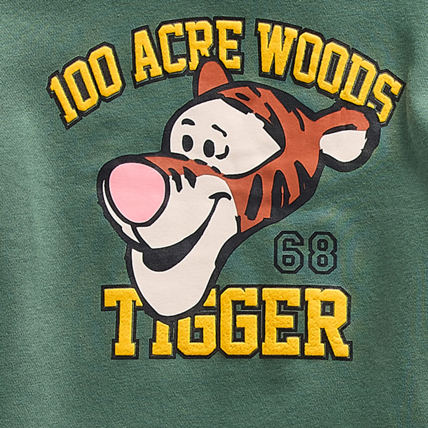 Toddler Boys Winnie The Pooh Knit 2-pc. Pant Set