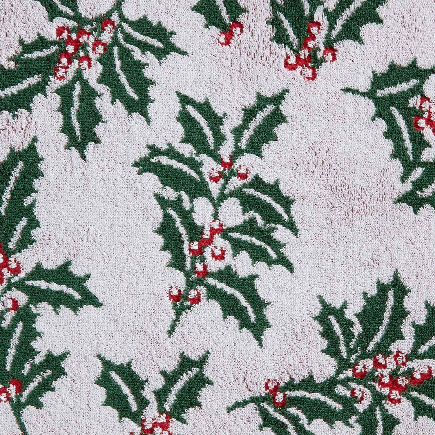 Martha Stewart Holly 2-pc. Hand Towel Set