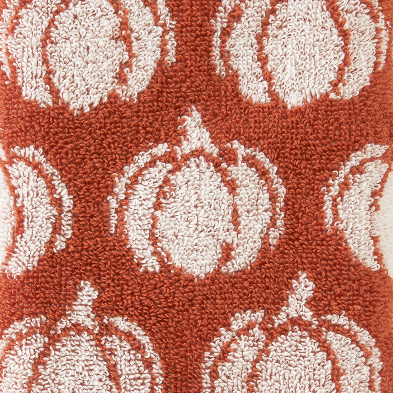 Saturday Knight Pumpkin 2-pc. Hand Towel