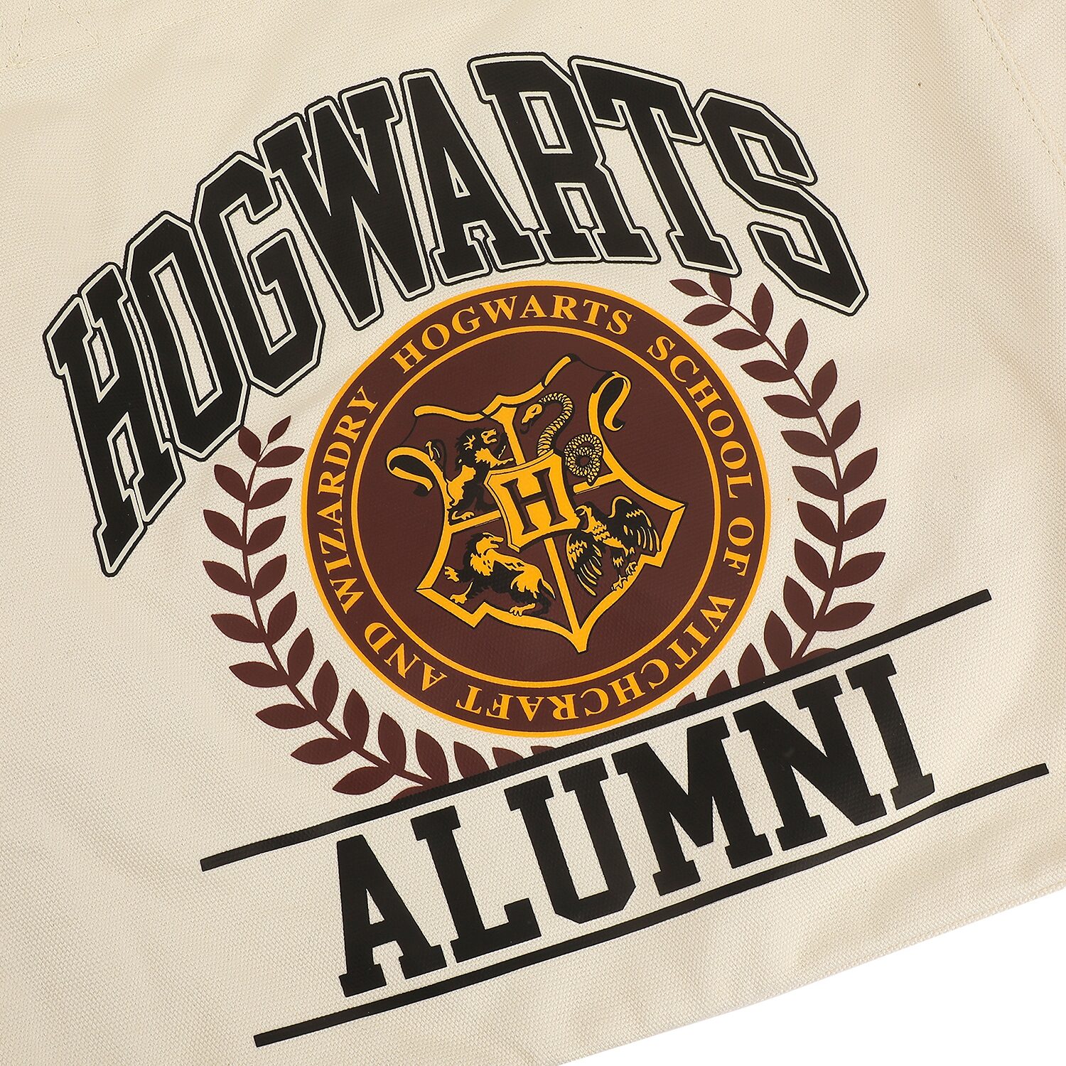 Harry Potter Hogwarts Alumni 15.5in Adult Canvas Tote Bag