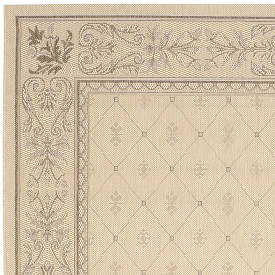 Safavieh Oakley Oriental Indoor Outdoor Rectangular Accent Rug
