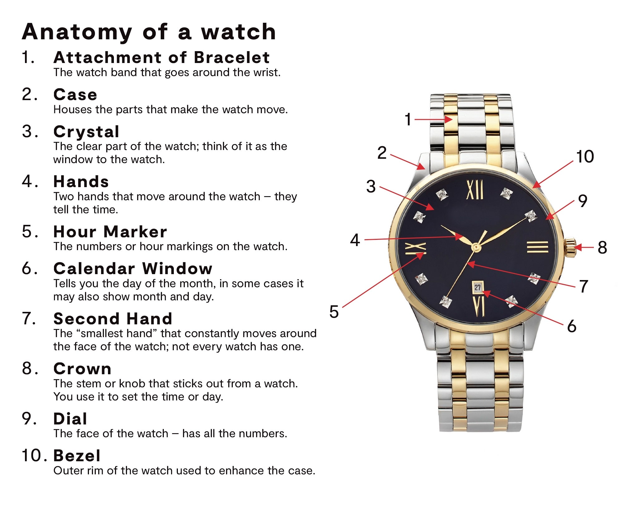 Anatomy of a Watch