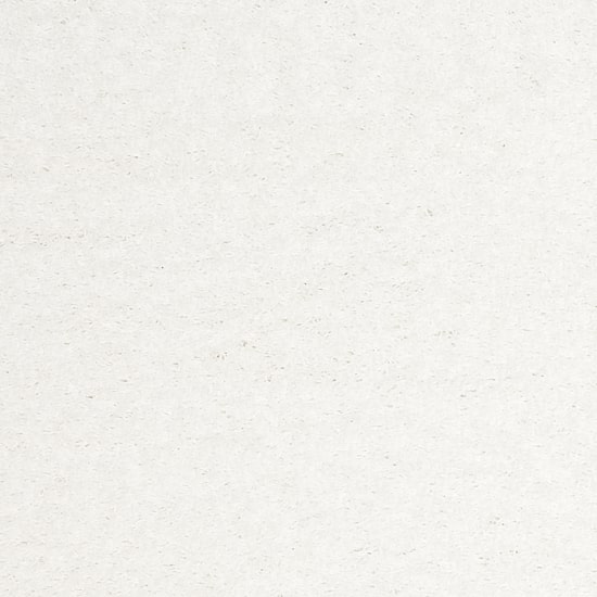 Safavieh Laguna Shag Collection Claes Solid Area Rug