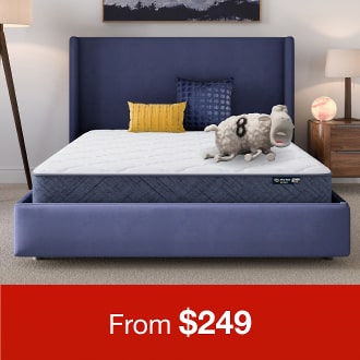 Black Friday Sale