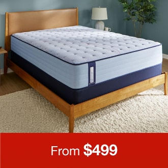 Black Friday Sale