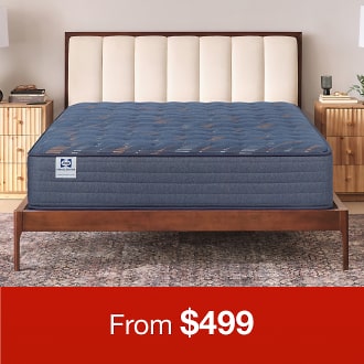 Black Friday Sale