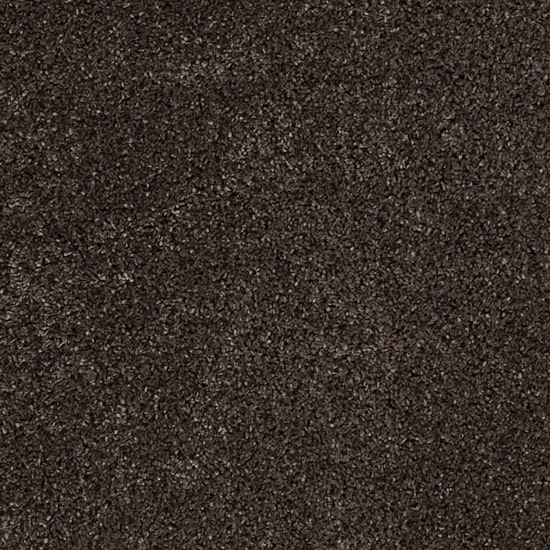 Safavieh Santa Monica Shag Collection Ainsley Solid Area Rug