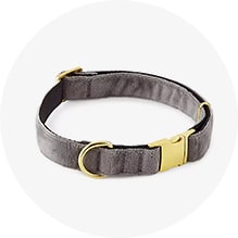 Collars. &. Leashes