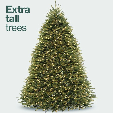 Extra tall trees
