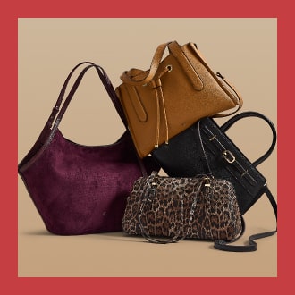 Liz Event Bags Red