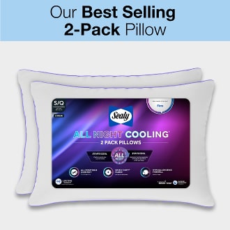 Our Best Selling 2-Pack Pillow