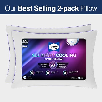 SELLING-2-Pillow BLUE