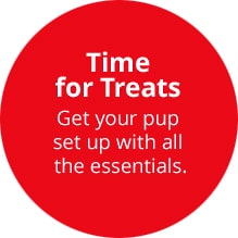 Time for treats get your pup set up with all the essentials