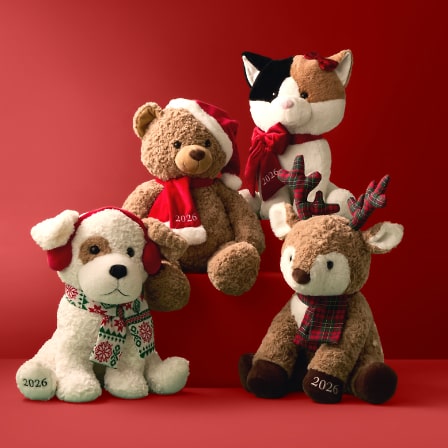TOYS NUC